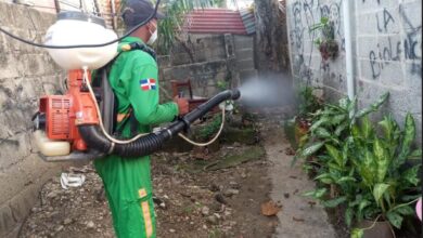 Jornada contra el dengue