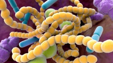 Microbios intestinales
