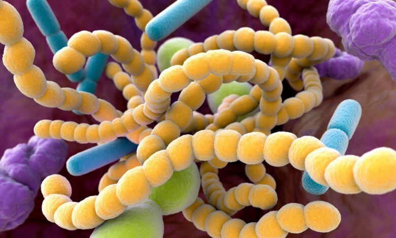 Microbios intestinales