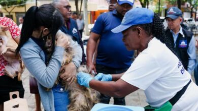 Vacunación perros y gatos