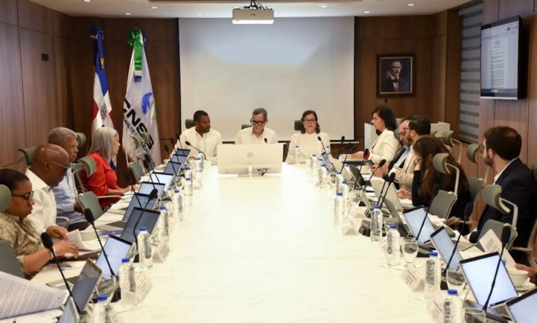 Consejo Nacional de la Seguridad Social, CNSS